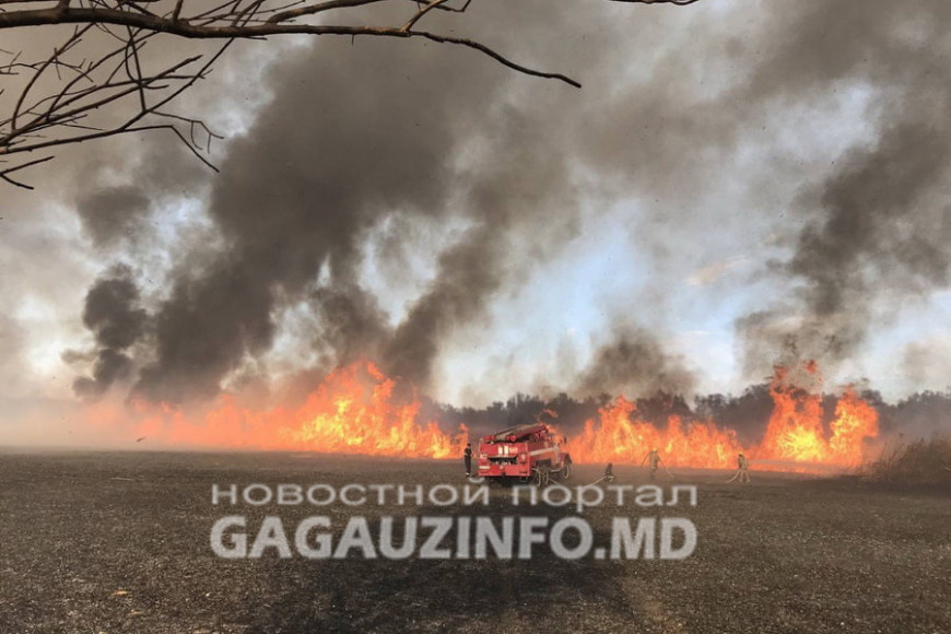 Пожары в Гагаузии: сгорели десятки гектар растительности и леса