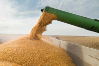 В Молдове снизились цены на сельхозпродукцию