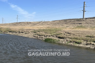 Власти Комрата об очистке реки Ялпуг: "вода уже стала прозрачной"