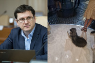 "Хорошо хоть собаку не прогоняют". Экс-министр критикует власти, заставляющие людей ждать у аэропорта под дождем