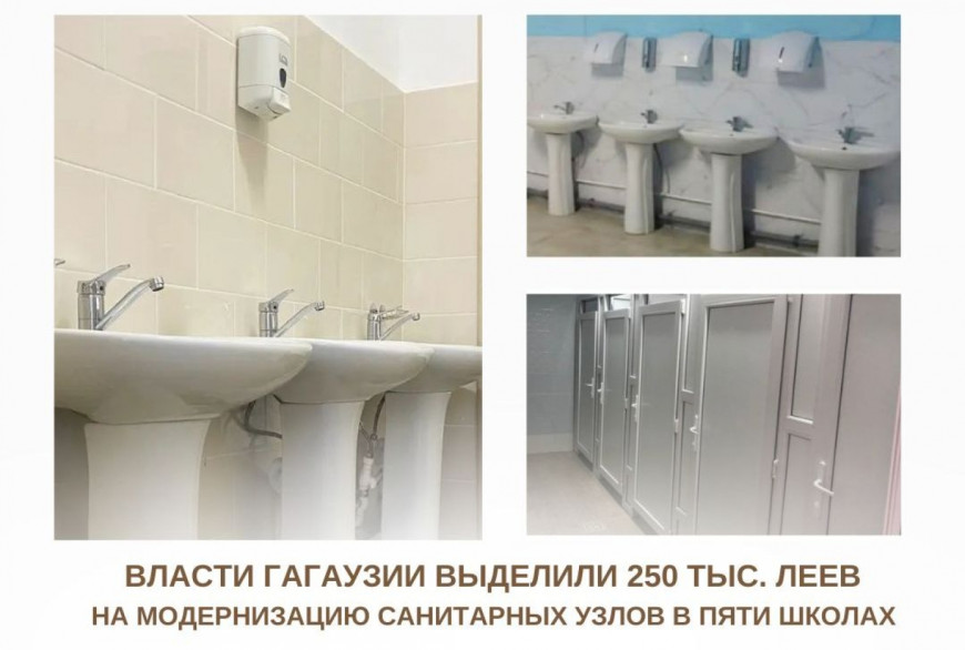 Четверть миллиона леев выделили власти Гагаузии на модернизацию санузлов в школах