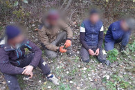 Дикого кабана спасли от браконьеров пограничники