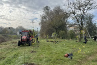В Чадыр-Лунге до конца года высадят 3 тысячи деревьев. Проект уже начался