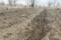 "Около миллиона саженцев". В Лесхозе Комрата рассказали о планах деятельности