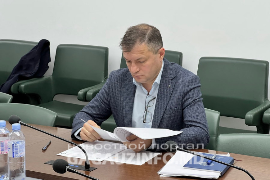 "На выборах в НСГ многие не смогут проголосовать". В Исполкоме выступили против законопроекта Лейчу