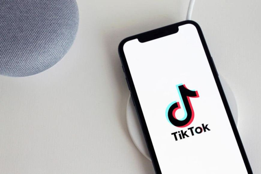Гросу: в Молдове могут заблокировать TikTok