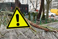 В Молдове объявлен «Желтый код» из-за сильного ветра. Полиция предупреждает о мерах безопасности