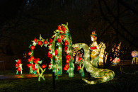 Новогодняя магия в Кишиневе: в CIE «Moldexpo» стартовал фестиваль фонарей «Lights & Dreams»