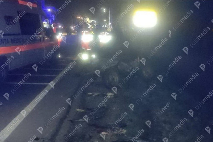 В Светлом грузовик врезался в повозку. Погибли и человек, и лошадь