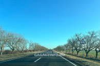 Зимняя, но безснежная погода будет в Гагаузии