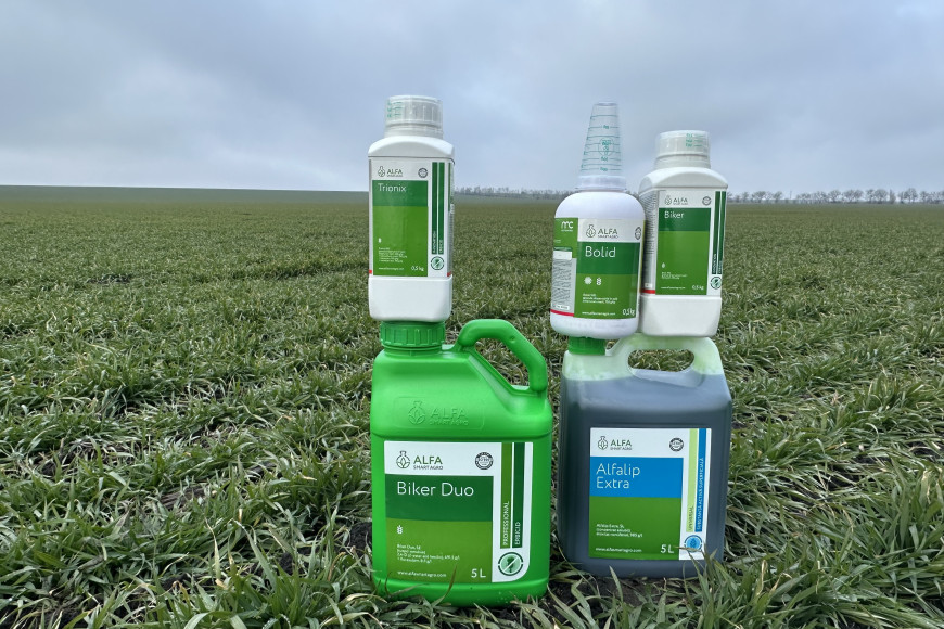 Как выбрать гербицид для весеннего периода: рекомендации от ALFA Smart Agro