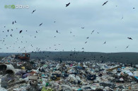 Экологи критикуют ситуацию в Гагаузии: на мусоросвалках отсутствуют ограждения