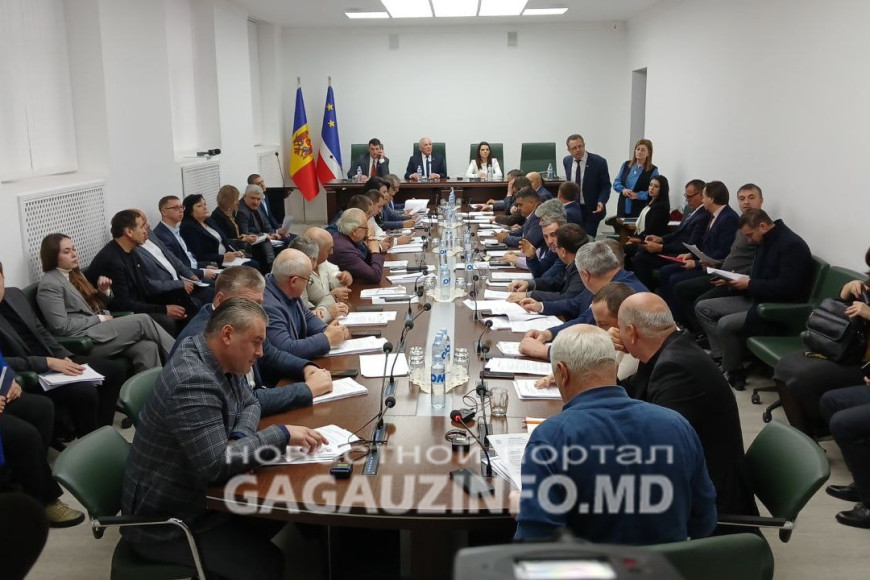 Вопрос отсрочки по законам о патенте и едином платеже внесли на повестку дня НСГ