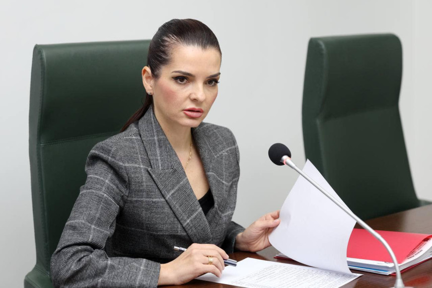 По заказу Кишинева? Гуцул обвинила Народное собрание во враждебности