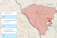 Еще два случая АЧС выявили в Молдове