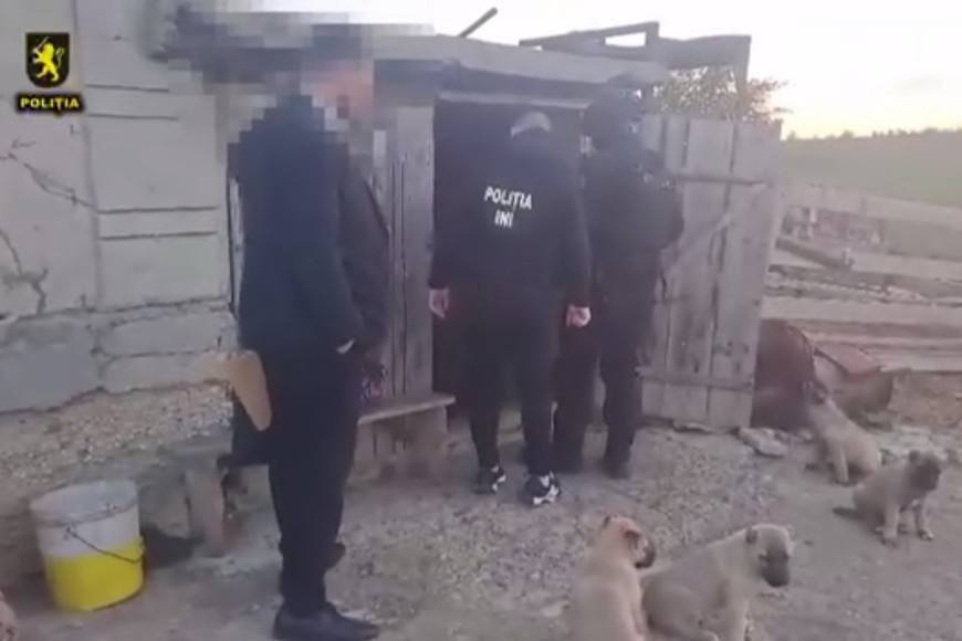 Fulger задержал троих преступников, похитивших в Вулканештах мужчину