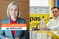 Но билет в один конец. Ирина Влах призвала граждан "сброситься" по лею министрам от PAS на поездку в Брюссель
