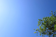 Днем прохладнее, ночью так же. Синоптики о погоде в Гагаузии