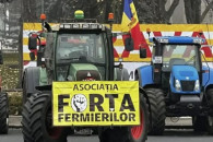 Фермеры требуют оградить рынок РМ от украинского зерна и масличного сырья