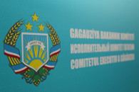 В Исполкоме прокомментировали "недостоверную интерпретацию" отчета Счетной палаты Гагаузии