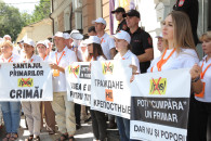 Снять PAS с выборов, а Гросу - в тюрьму. INIMA MOLDOVEI призвала ЦИК наказать «жёлтых» за нарушение закона