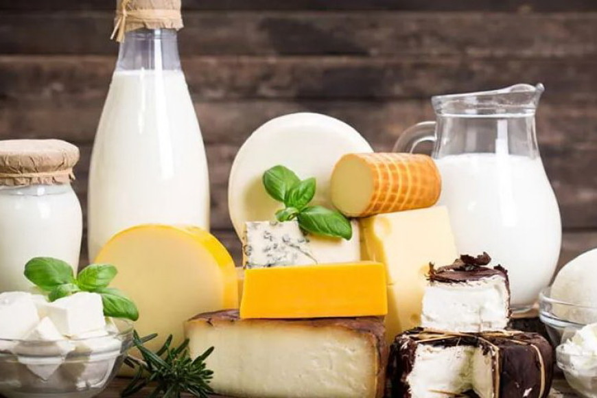 Вместо экспорта – импорт. СМИ о производстве молочных продуктов в Молдове