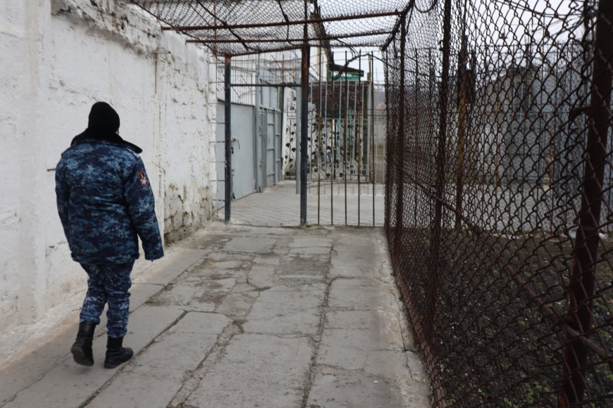 Минюст хочет блокировать мобильную связь и интернет в тюрьмах: это может затронуть и жителей соседних районов