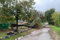 Непогода в Вулканештах: дерево рухнуло на детскую площадку