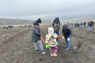 Не засохнут ли? "Поколение леса" высадило еще 110 тысяч саженцев в Молдове