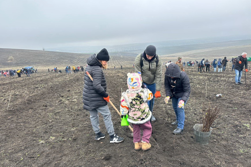 Не засохнут ли? "Поколение леса" высадило еще 110 тысяч саженцев в Молдове