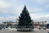 В Комрате установили главную новогоднюю ель города - подробности