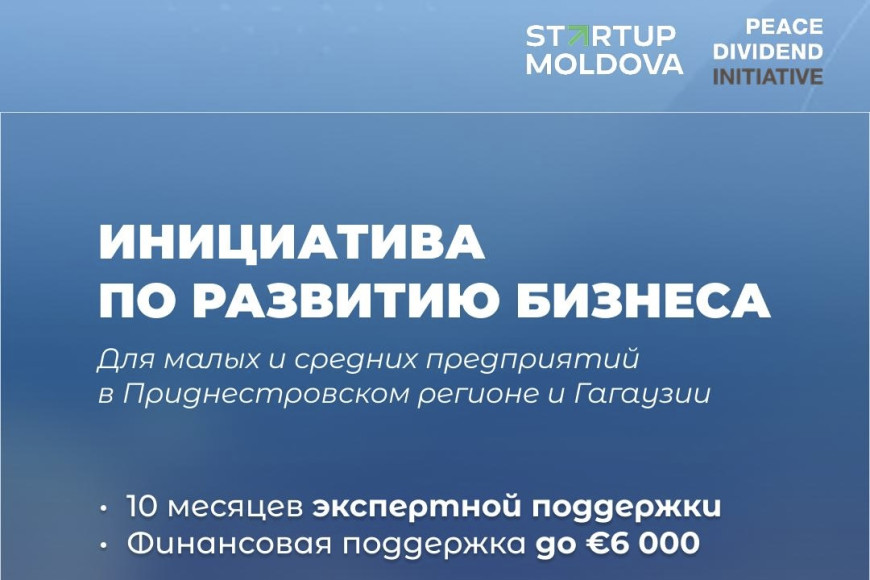 В Гагаузии и Приднестровье запускают программу поддержки малого и среднего бизнеса