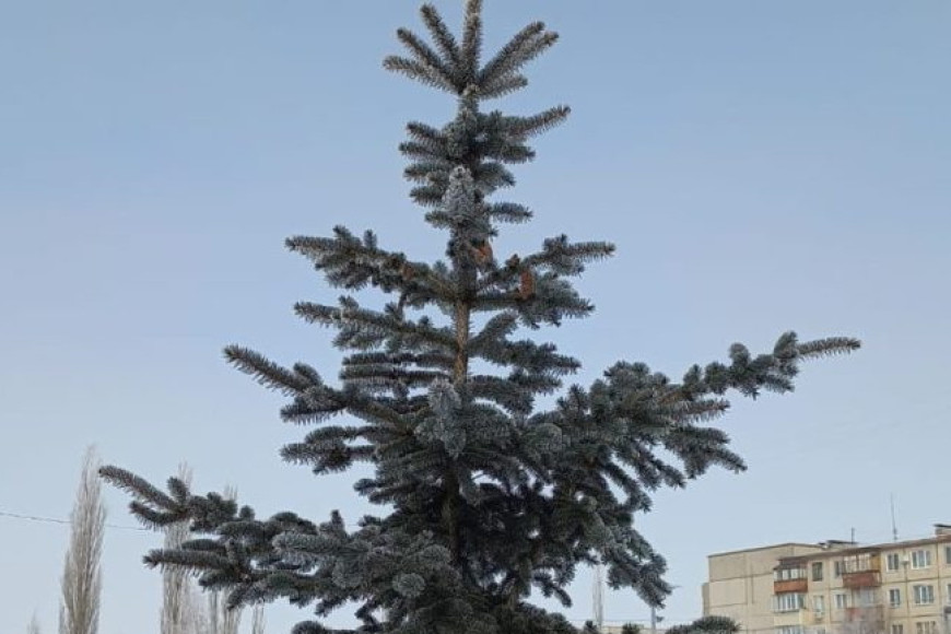 Переменная облачность, но прохладно. Синоптики о погоде в Гагаузии в четверг