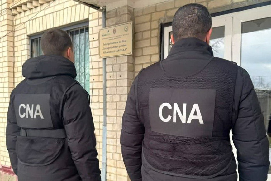 Лесная афера на 4 млн: силовики пришли с обысками к руководству предприятия