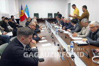 Как проводить выборы в НСГ в условиях блокирования со стороны центра? Публичные слушания в Комрате