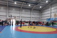 Чемпионат Гагаузии по вольной борьбе прошел в Комрате