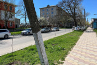 В Комрате волонтеры высадили более сотни саженцев дуба и клена