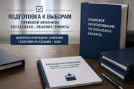 Для организации выборов. В НСГ заявили о достижении с Кишиневом "компромиссных решений"
