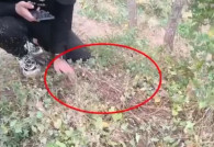 В Молдове резко выросло число преступлений, связанных с употреблением и продажей наркотиков