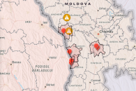 Новый очаг АЧС выявлен в Молдове