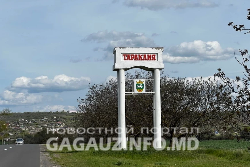 Кто будет примаром Тараклии решил 81 голос