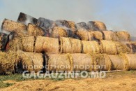На ферме в Томае произошел пожар – что об этом известно
