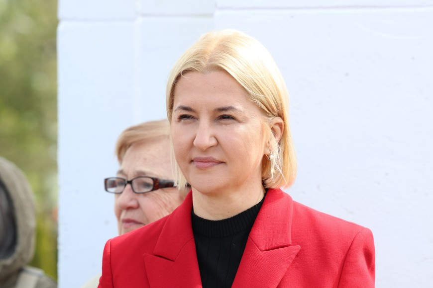 Ирина Влах призвала власти остановить налоговую реформу до утверждения нового правительства