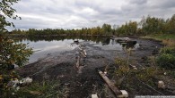 В Гагаузии не осталось ни одного озера, где можно было бы купаться. Специалисты рекомендуют альтернативу