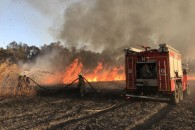 Гагаузия стала лидером по площади природных пожаров за последние сутки
