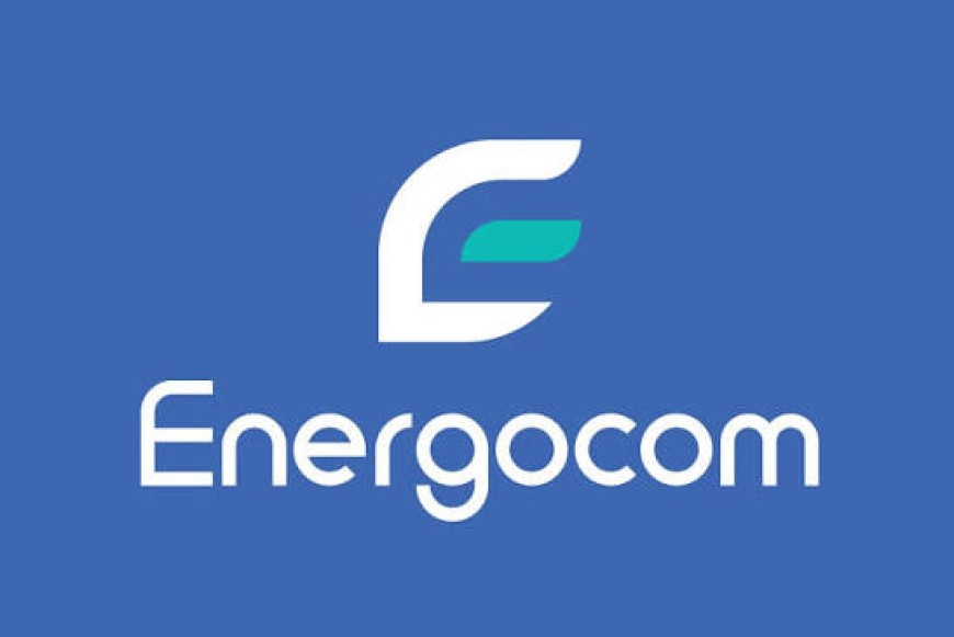 Хищение или некомпетентность? Ирина Влах о том, как Energocom зарабатывает на молдаванах