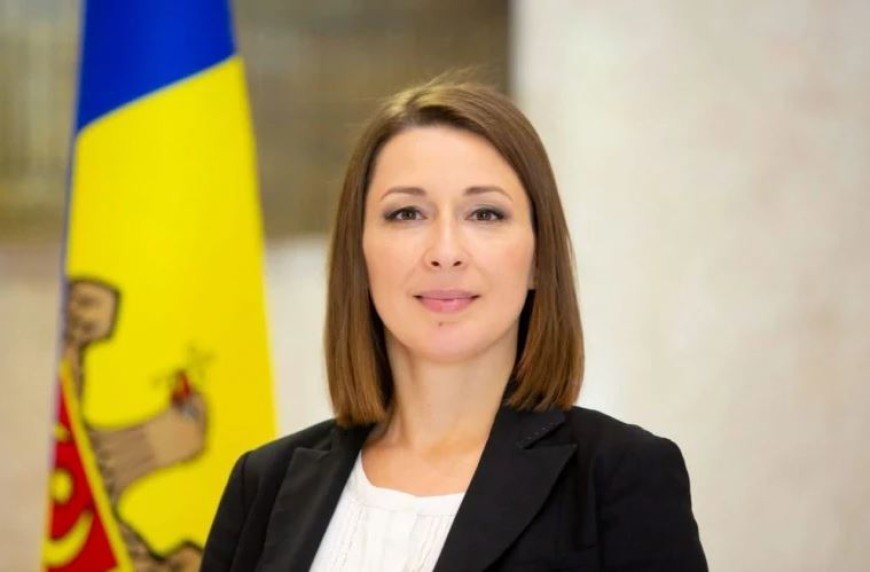 Лилиана Вицу назначена директором Центра стратегических коммуникаций и противодействия дезинформации