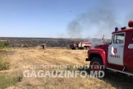 Гагаузия - в зоне риска: по всей Молдове объявлен желтый код пожарной опасности