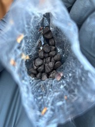 Обыски в Тараклии: найдено нелегальное оружие, боеприпасы и наркотики