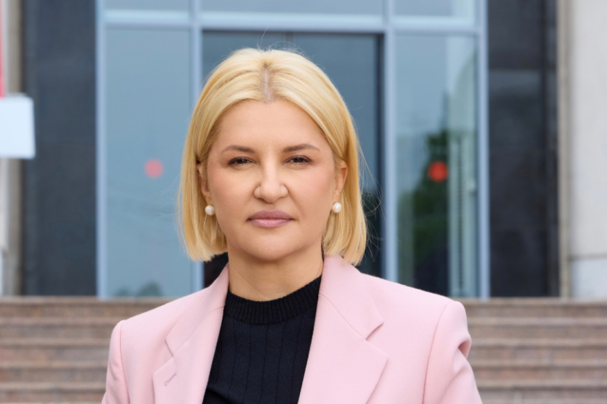 Миллиард на чай, кофе цветы и мебель. Ирина Влах о том, как власти "спускают деньги на ветер"